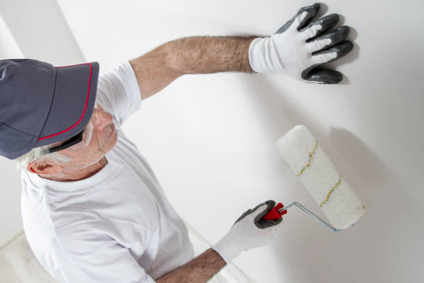 Best Crawl Space Mold Remediation  in Glen Ellyn, IL