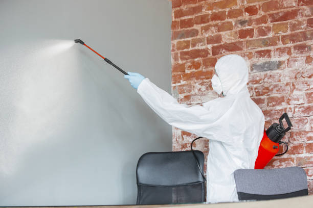 Best Mold Removal for HVAC Installations  in Glen Ellyn, IL