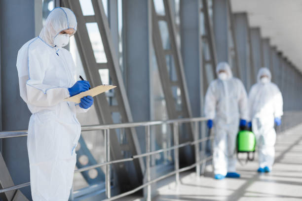 Best Basement Mold Removal  in Glen Ellyn, IL