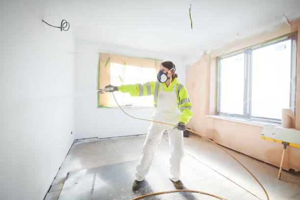 Best Mold Documentation for Insurance Claims  in Glen Ellyn, IL