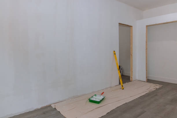 Best Crawl Space Mold Remediation  in Glen Ellyn, IL