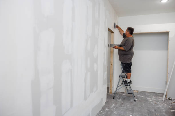 Best HVAC Mold Inspection and Cleaning  in Glen Ellyn, IL