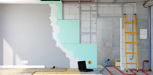 Best Black Mold Removal  in Glen Ellyn, IL