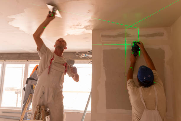Best Comprehensive Air Testing for Mold Contaminants  in Glen Ellyn, IL