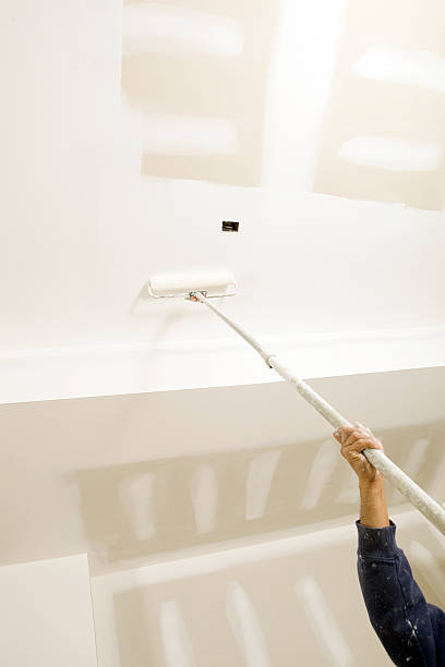 Best Real Estate Mold Inspection  in Glen Ellyn, IL