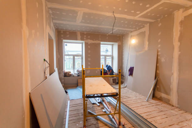 Best Mold Damage Restoration  in Glen Ellyn, IL